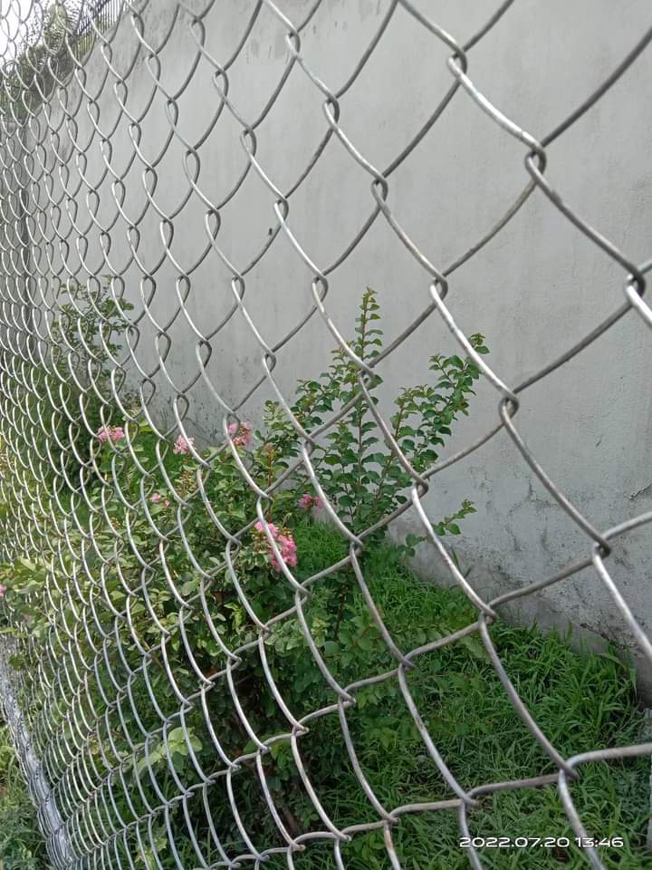 How to choose the right chain link fence for your commercial or residential property